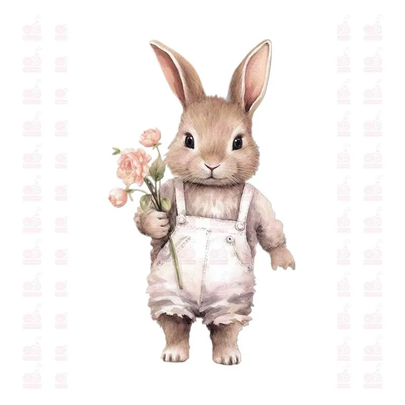 DTF / TRANSFER 1324 Premium