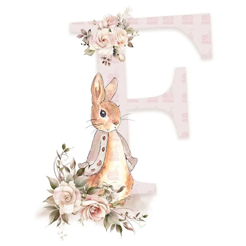 Exclusivo DTF / TRANSFER 0554