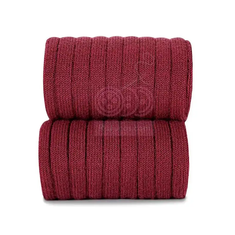 Última Versión LEOTARDO CANALE BORGOÑA CONDOR