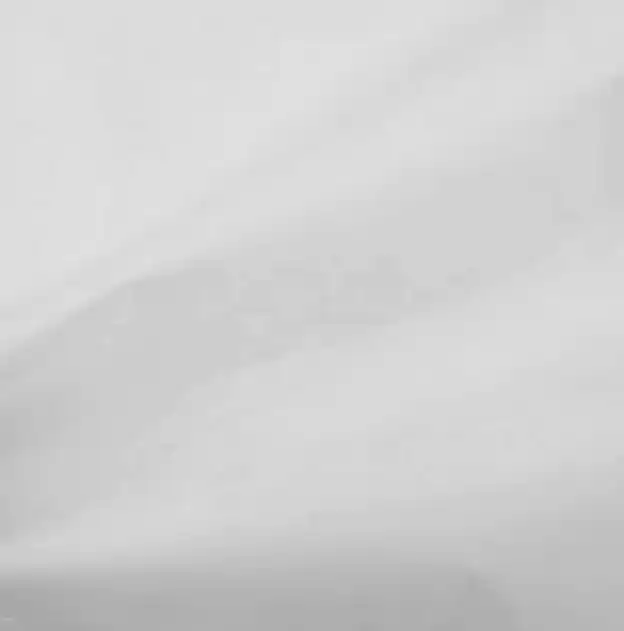 ENTRETELA NO ADHESIVA 40gramos Novedad