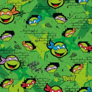 TORTUGAS NINJA Marca Reconocida