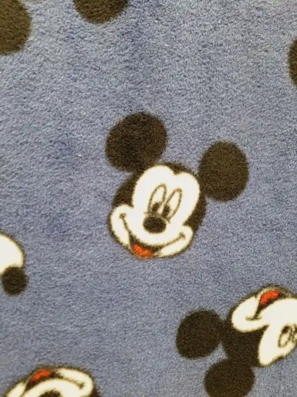 Imprescindible (Must-Have) POLAR MICKEY AZUL