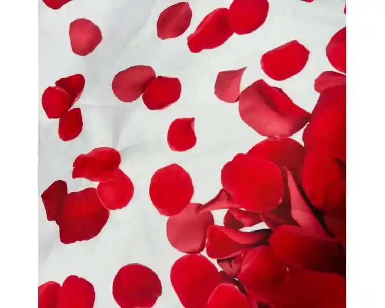 Mikado Love Stock Limitado