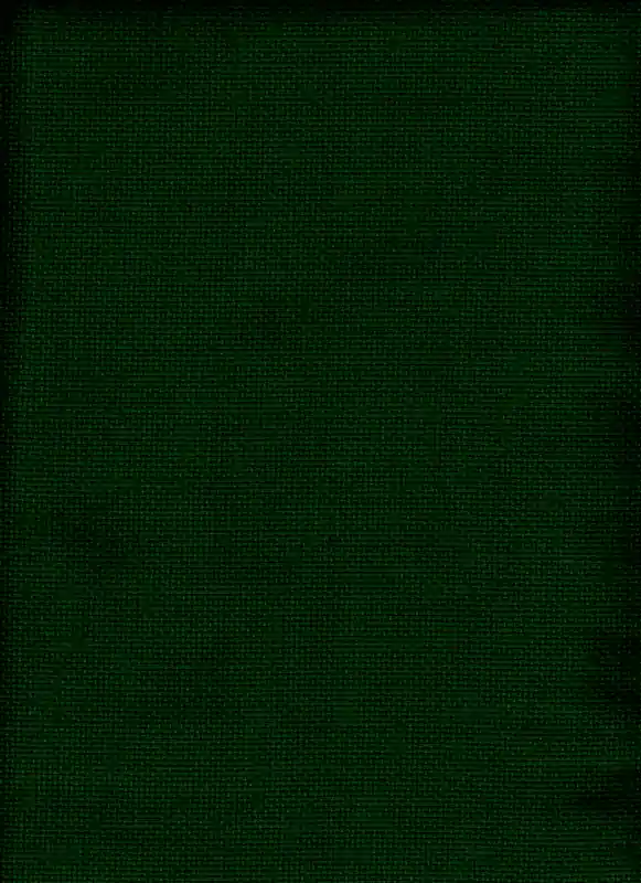 Alta Calidad PANAMA ALGODON VERDE