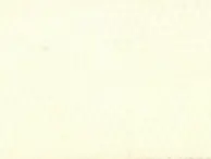 TUL ILUSION BLANCO 300 CM Máxima Calidad