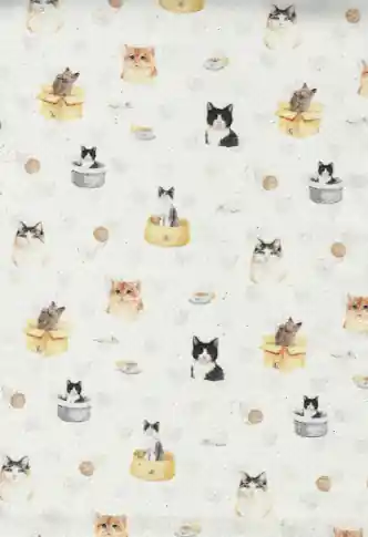 Precio Económico GATOS Y CAMAS