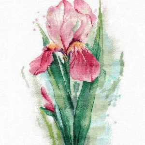 Iris rosa - 1424 OVEN - Kit de punto de cruz Entrega Rápida