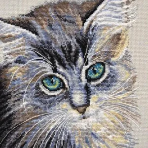 Milagro de ojos verdes. Gatita - 742 OVEN - Kit de punto de cruz Entrega Rápida