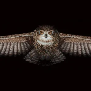 Precio Reducido Búho - SANS-44 Andriana - Kit de punto de cruz