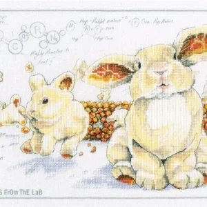 Auténtico Hop-corn - RTO - Kit de punto de cruz M70043