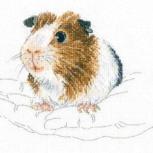 Solo Hoy M817 En palmas - RTO - Kit de punto de cruz