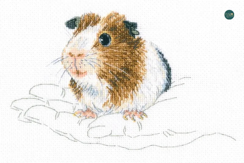 Solo Hoy M817 En palmas - RTO - Kit de punto de cruz