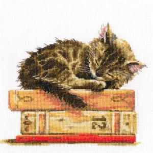 Gran Oferta M642 Gata - RTO - Kit de punto de cruz