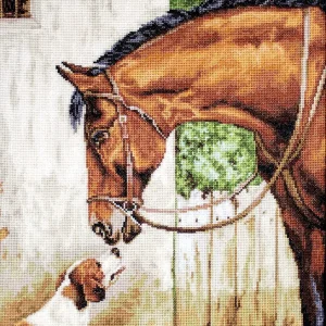 Compra Hoy Hunter and Foxhound - B580 Luca-S - Kit de Punto de Cruz