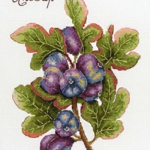 Regalos de la naturaleza. Higos - SNV-768 MP Studia - Kit de punto de cruz Comprar En Línea