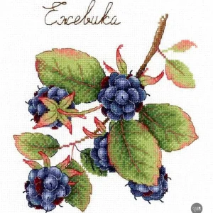 Precio Económico Regalos de la naturaleza. Mora - SNV-696 MP Studia - Kit de punto de cruz