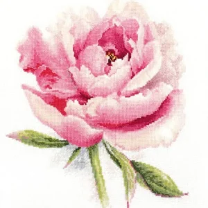 Oferta Limitada Peonía tierna - S2-47 Alisa - Kit de punto de cruz