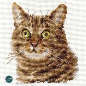 Garantía De Devolución De Dinero Gato sorprendido - S0-135 Alisa - Kit de punto de cruz