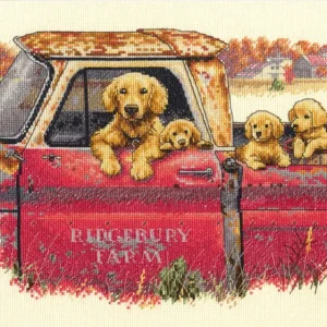 Imprescindible (Must-Have) Paseo Dorado - 70-35405 Dimensions - Kit de punto de cruz