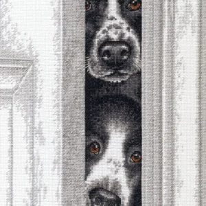 Cachorros que miran a escondidas - 70-35400 Dimensions - Kit de punto de cruz Moderno