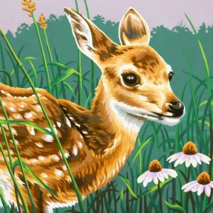 Cervatillo y flores - 73-91447 Dimensions - Kit de Pintura por numero A Buen Precio