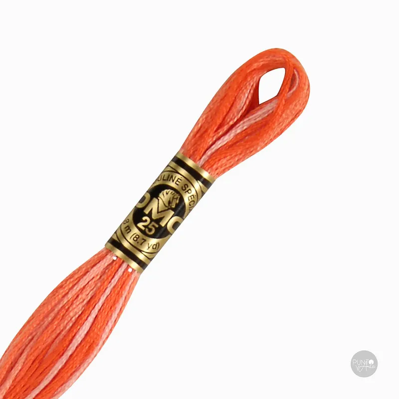 106 Hilo de bordado DMC Mouliné Spécial 117MC de 8 metros Nueva Colección