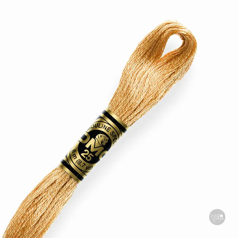 437 Hilo de bordado DMC Mouliné Spécial 117MC de 8 metros Envío Internacional