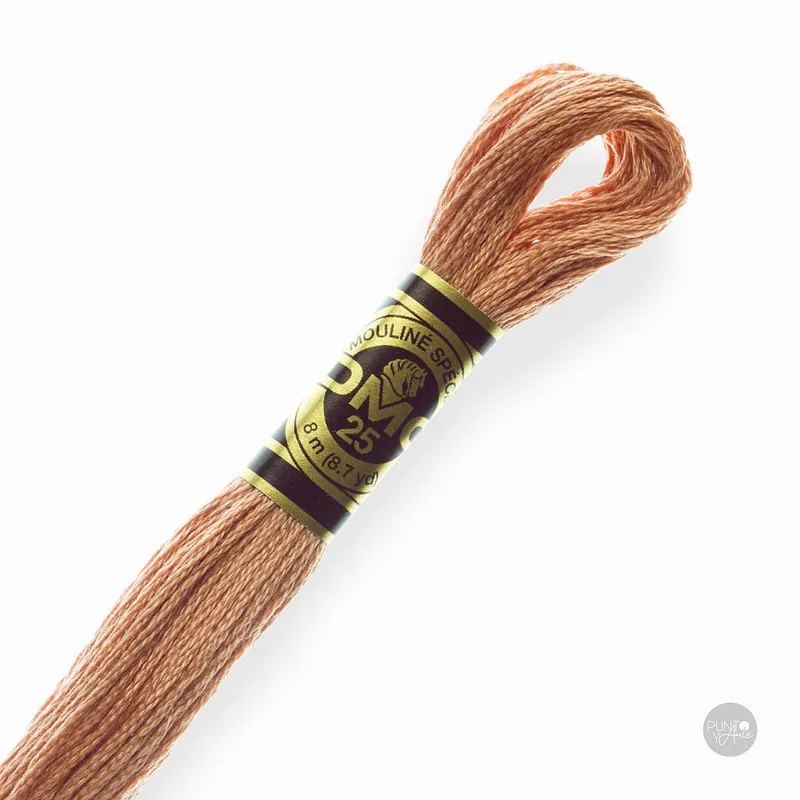 407 Hilo de bordado DMC Mouliné Spécial 117MC de 8 metros Envío Internacional