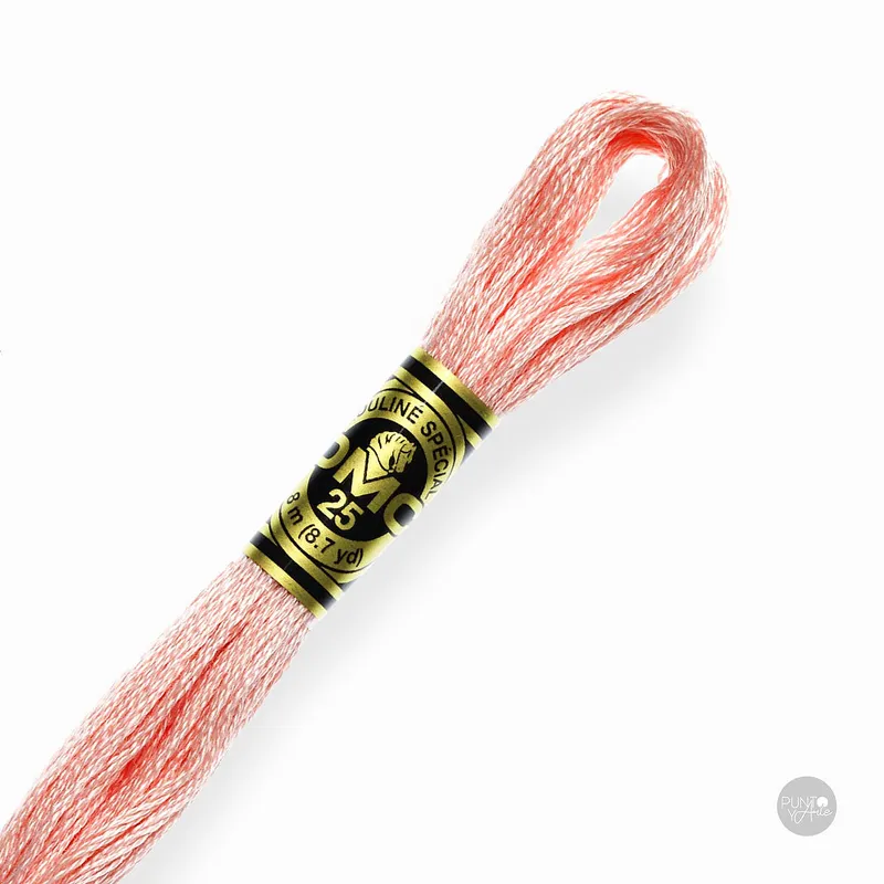 761 Hilo de bordado DMC Mouliné Spécial 117MC de 8 metros Auténtico