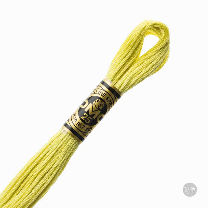 165 Hilo de bordado DMC Mouliné Spécial 117MC de 8 metros Venta Final