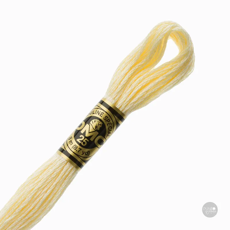 Ordenar Ahora Mismo 3823 Hilo de bordado DMC Mouliné Spécial 117MC de 8 metros