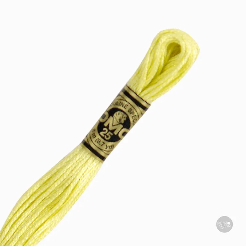 11 Hilo de bordado DMC Mouliné Spécial 117MC de 8 metros Descuento