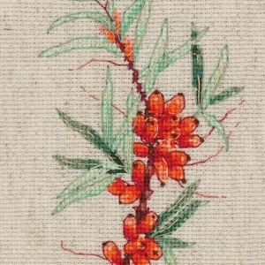 Ramita de espino amarillo - Klart - Kit de punto de cruz 8-359 Ocasión Especial