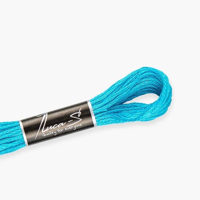 DMC 3845 / 209 Hilos mouline Luca-S Premium