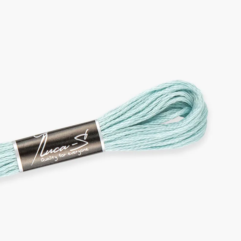 Económico DMC 3811 / 161 Hilos mouline Luca-S