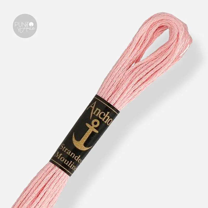 1021 Anchor Stranded Mouliné: Calidad y Color para Tus Bordados Envío Exprés
