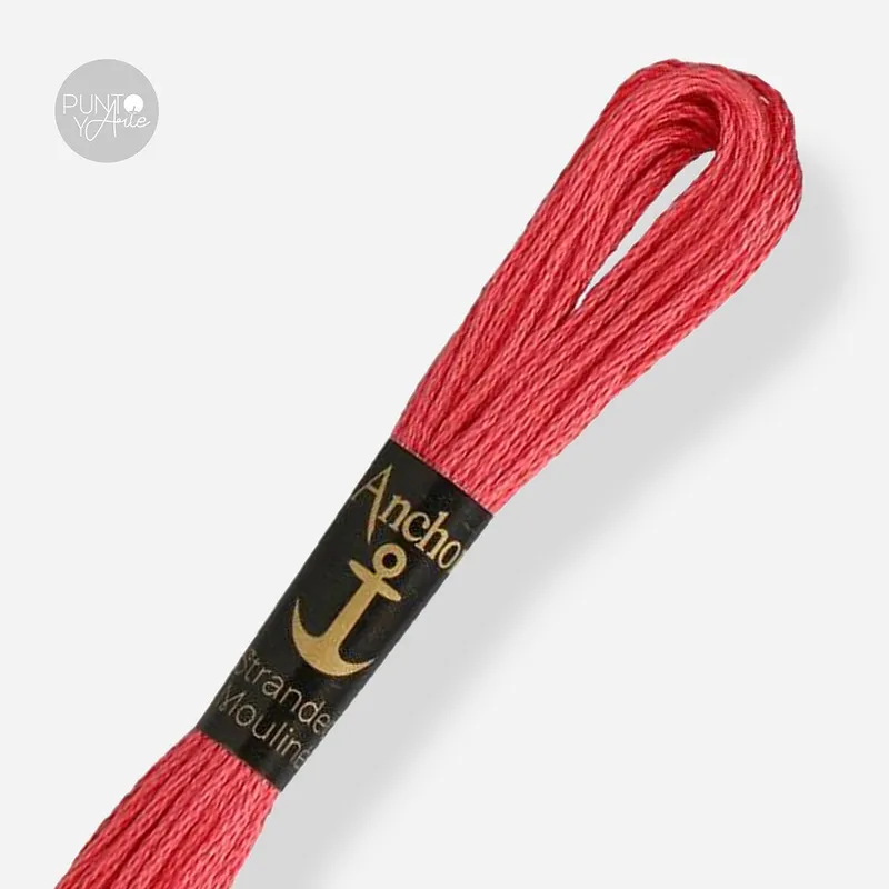 Mouliné Multicolor Anchor - 1024 Comprar En Línea