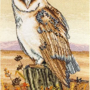 Precio Económico Kit de punto de cruz. PCE604 Owl Horizon - Anchor