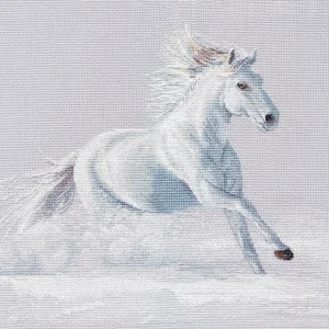 Kit de Punto de Cruz "Gracia en movimiento" S1668 Oferta De Temporada