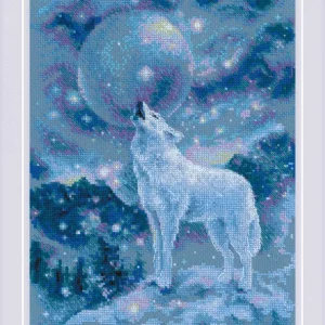 Liquidación Hilos DMC Mouliné Variation 417F: Colores vibrantes para tus bordados - 4017