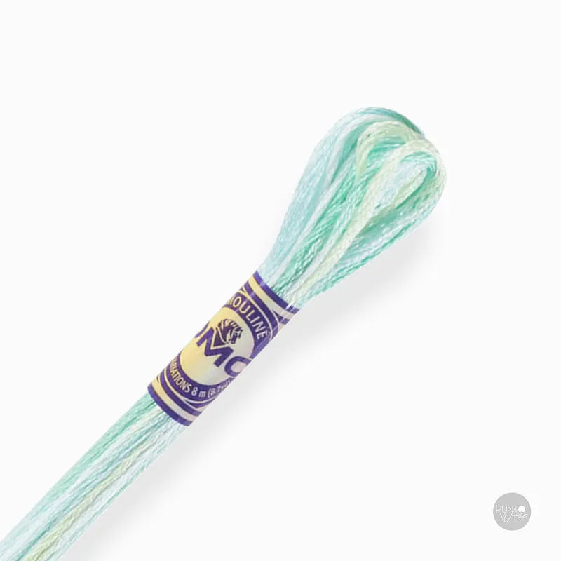 Compra Ahora Hilos DMC Mouliné Variation 417F: Colores vibrantes para tus bordados - 4040
