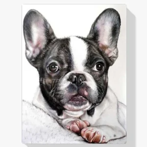 5D Pintura Diamante – Bulldog francés Ocasión Especial