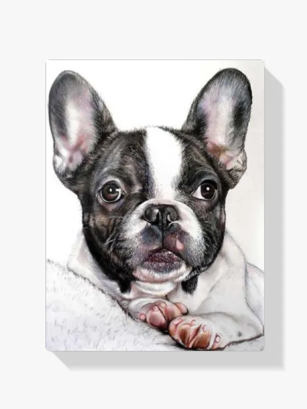 5D Pintura Diamante – Bulldog francés Ocasión Especial