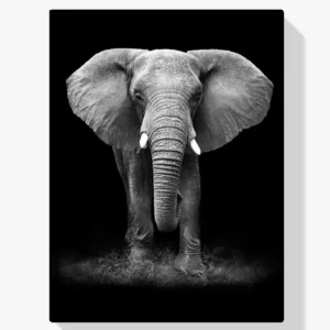 5D Pintura Diamante – Elefante Últimas Unidades