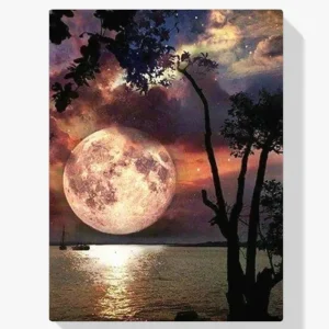 5D Pintura Diamante – Naturaleza Luna Noche Precio De Fábrica