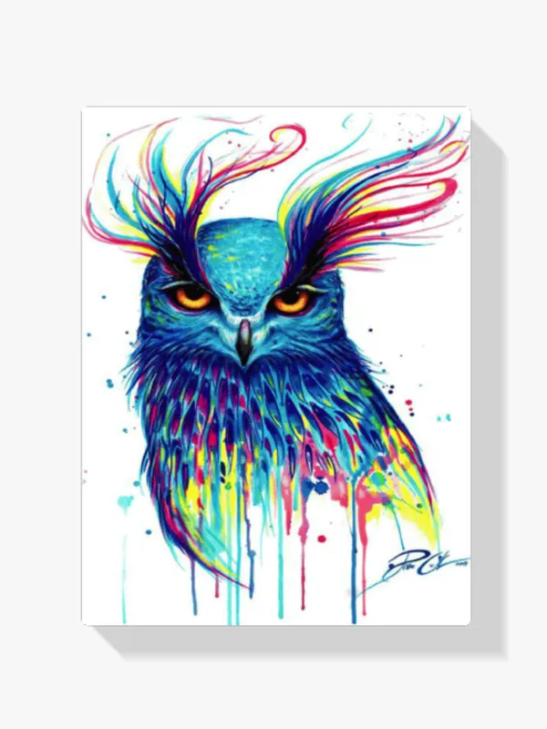 Oferta Pintura Diamante – Búho pintado