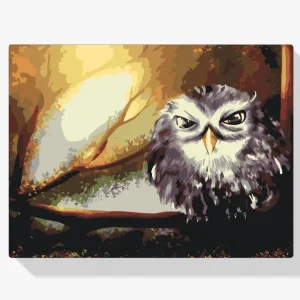 Alta Calidad Pintura Diamante – Búho Sabio