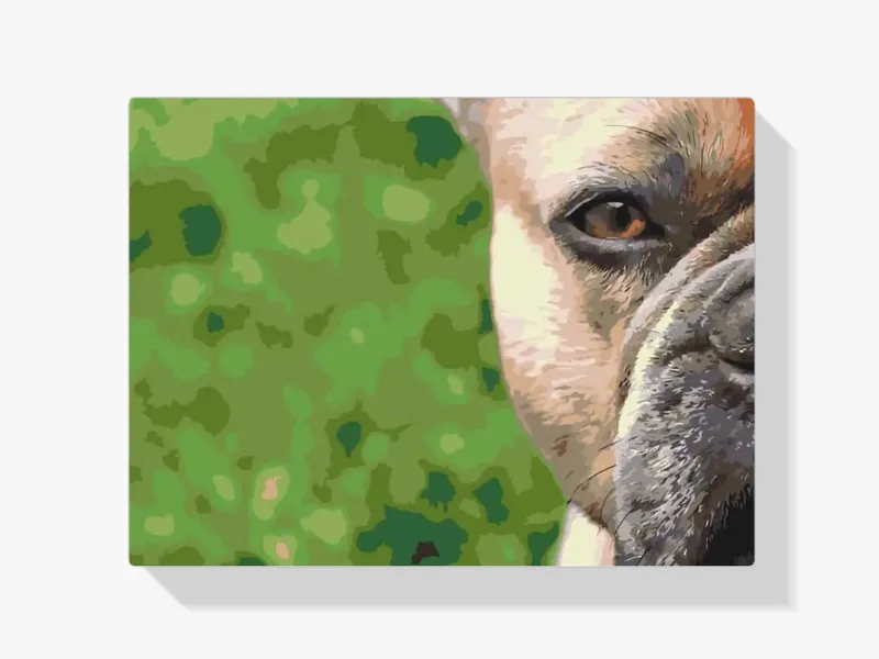 Pintura Diamante – Bulldog francés Promoción