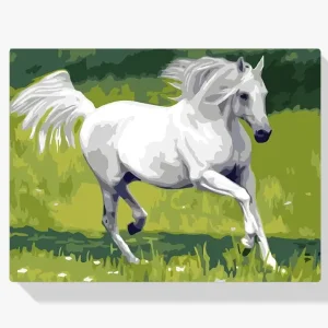 Pintura Diamante – Caballo blanco Ocasión Especial