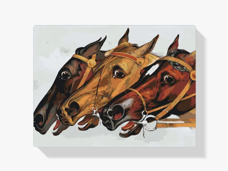 Favorito De Clientes Pintura Diamante – Caballos de carreras